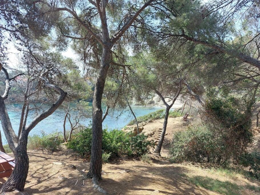 Charmant Mazet - Plage A Pied Saint-Peïre-sur-Mer Екстериор снимка